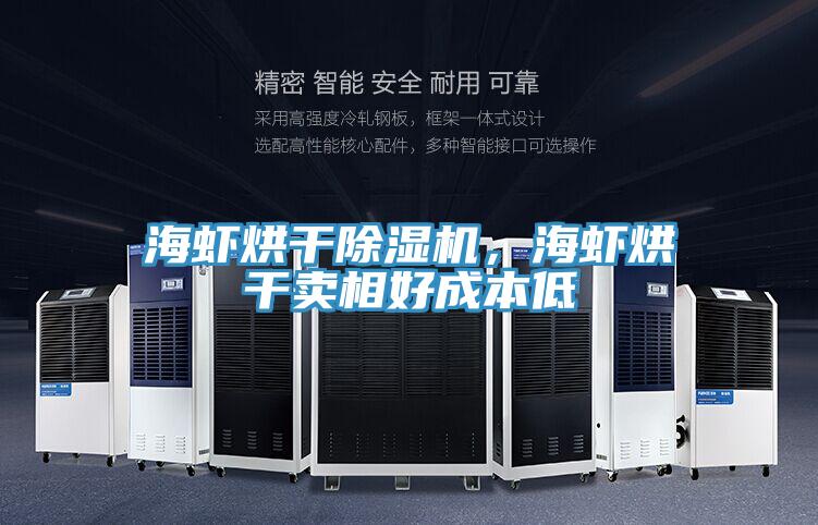海蝦烘干除濕機，海蝦烘干賣(mài)相好成本低