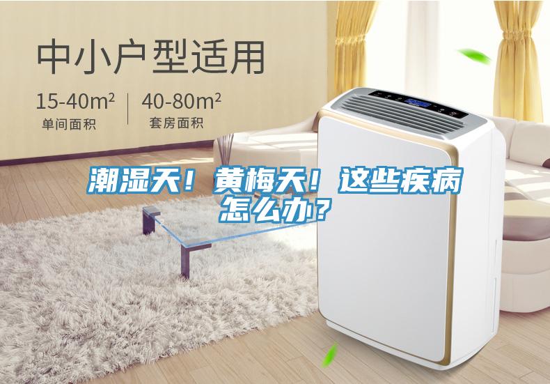 潮濕天！黃梅天！這些疾病怎么辦？