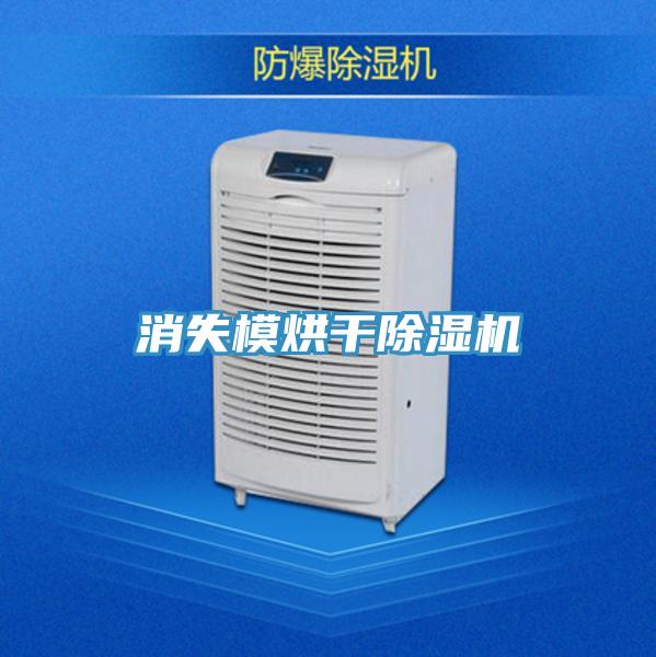 消失模烘干除濕機