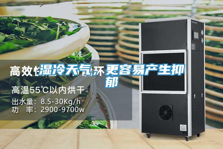 濕冷天氣，更容易產(chǎn)生抑郁