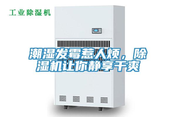 潮濕發(fā)霉惹人煩，除濕機讓你靜享干爽