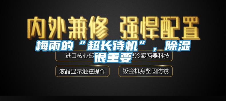 梅雨的“超長(cháng)待機”，除濕很重要