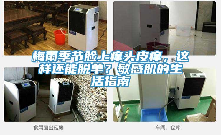 梅雨季節臉上癢頭皮癢，這樣還能脫單？敏感肌的生活指南