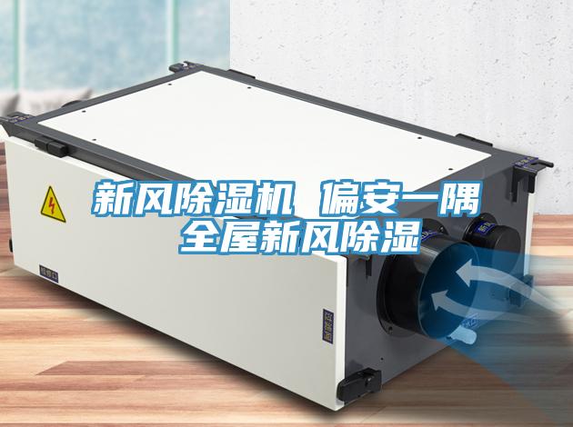 新風(fēng)除濕機 偏安一隅 全屋新風(fēng)除濕