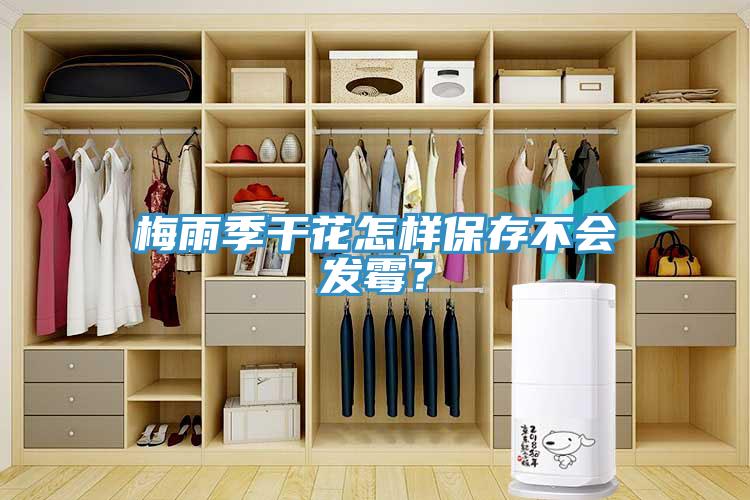 梅雨季干花怎樣保存不會(huì )發(fā)霉？