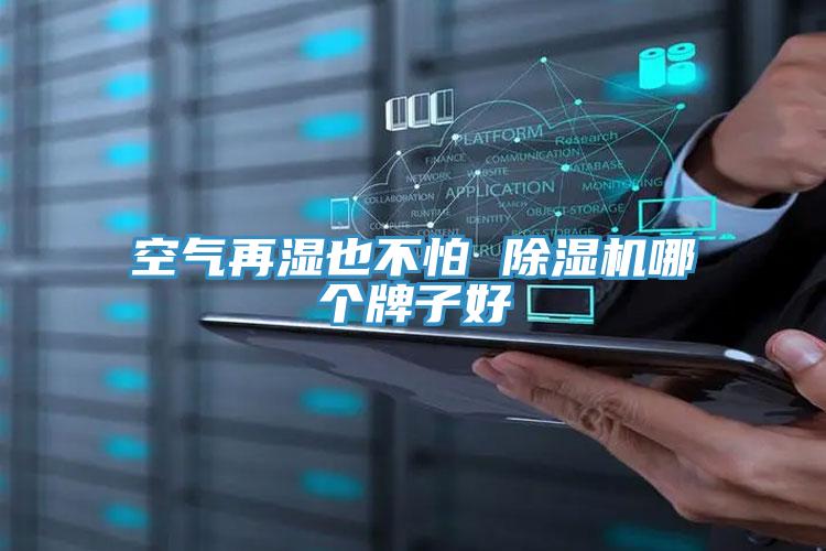 空氣再濕也不怕 除濕機哪個(gè)牌子好