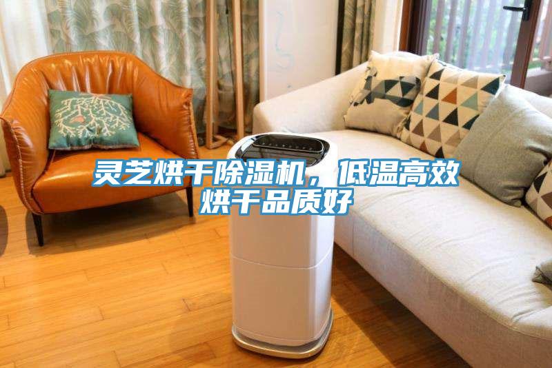 靈芝烘干除濕機，低溫高效烘干品質(zhì)好