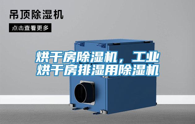 烘干房除濕機，工業(yè)烘干房排濕用除濕機