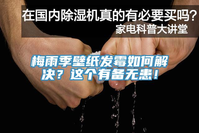 梅雨季壁紙發(fā)霉如何解決？這個(gè)有備無(wú)患！