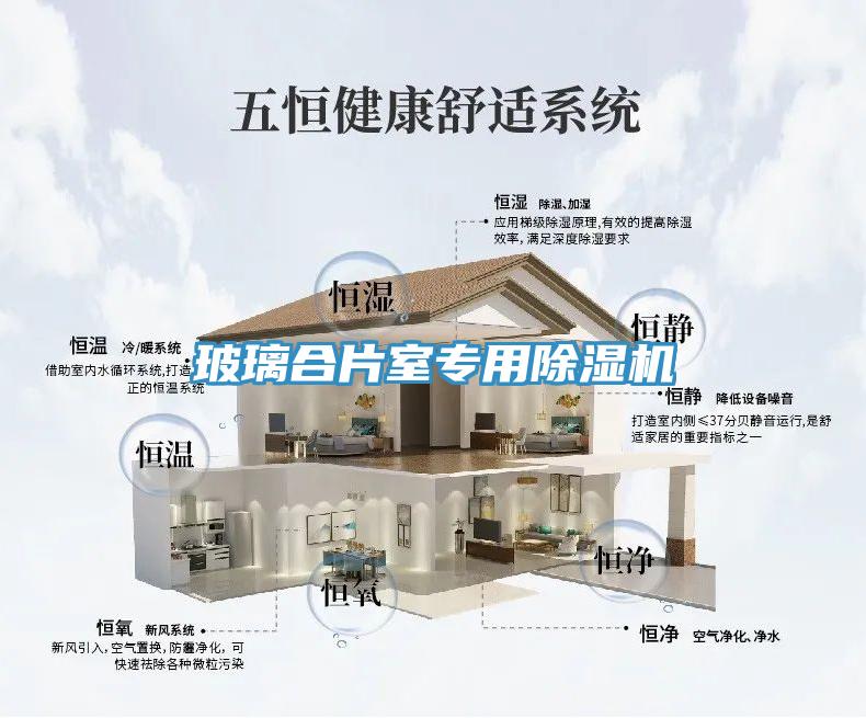 玻璃合片室專(zhuān)用除濕機