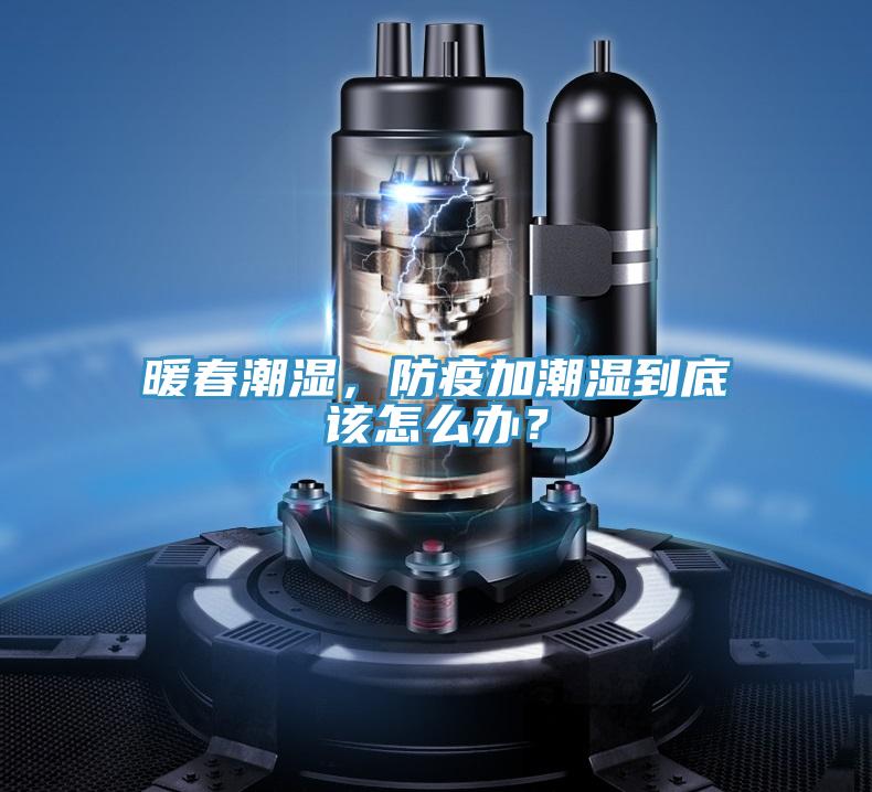 暖春潮濕，防疫加潮濕到底該怎么辦？
