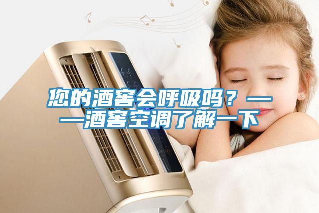 您的酒窖會(huì )呼吸嗎？——酒窖空調了解一下