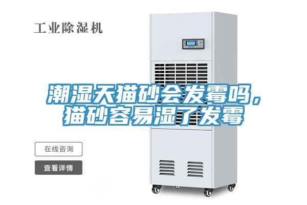 潮濕天貓砂會(huì )發(fā)霉嗎，貓砂容易濕了發(fā)霉