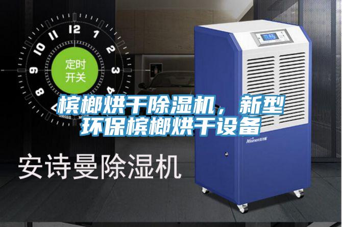 檳榔烘干除濕機，新型環(huán)保檳榔烘干設備