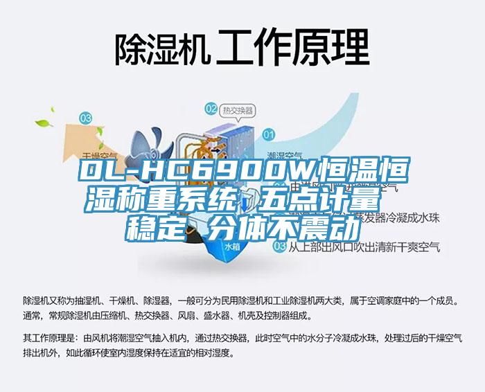 DL-HC6900W恒溫恒濕稱(chēng)重系統 五點(diǎn)計量 穩定 分體不震動(dòng)