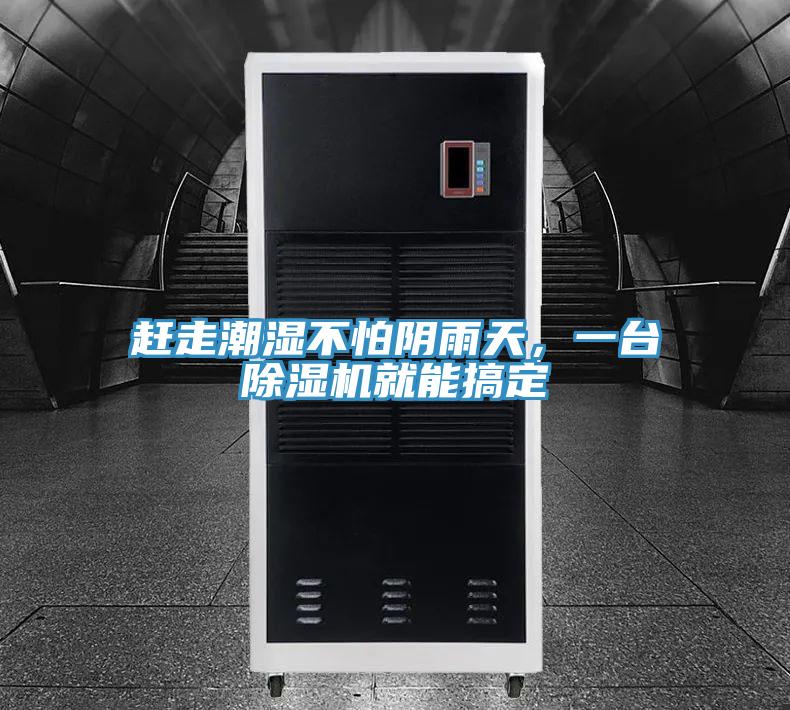 趕走潮濕不怕陰雨天，一臺除濕機就能搞定