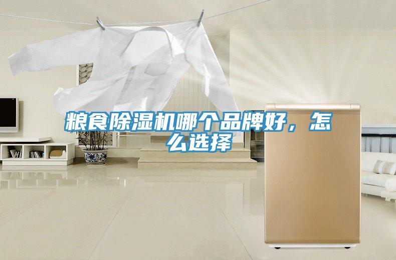 糧食除濕機哪個(gè)品牌好，怎么選擇
