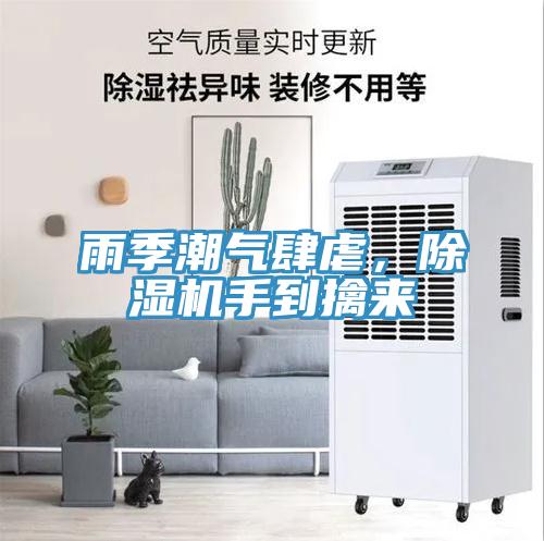 雨季潮氣肆虐，除濕機手到擒來(lái)