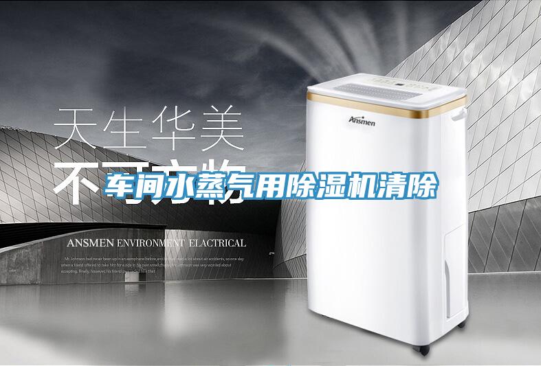 車(chē)間水蒸氣用除濕機清除