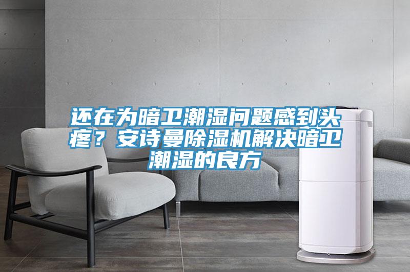 還在為暗衛潮濕問(wèn)題感到頭疼？安詩(shī)曼除濕機解決暗衛潮濕的良方