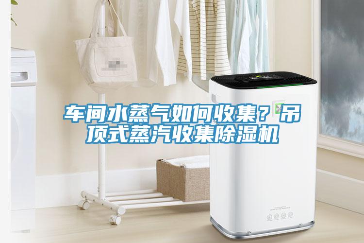 車(chē)間水蒸氣如何收集？吊頂式蒸汽收集除濕機