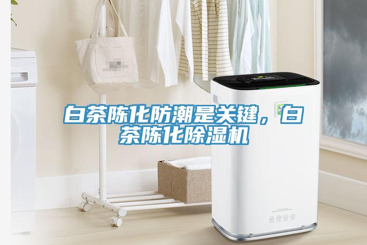 白茶陳化防潮是關(guān)鍵，白茶陳化除濕機