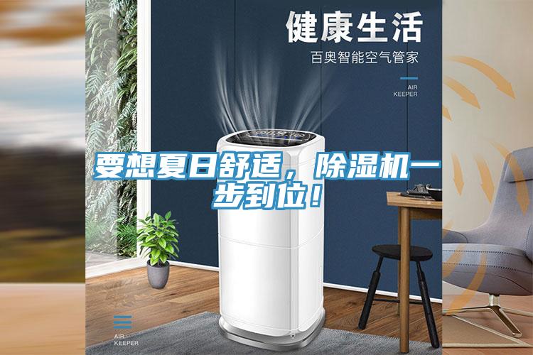 要想夏日舒適，除濕機一步到位！