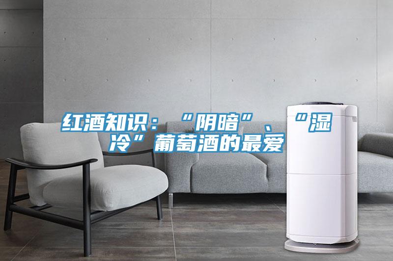 紅酒知識：“陰暗”、“濕冷”葡萄酒的最?lèi)?ài)