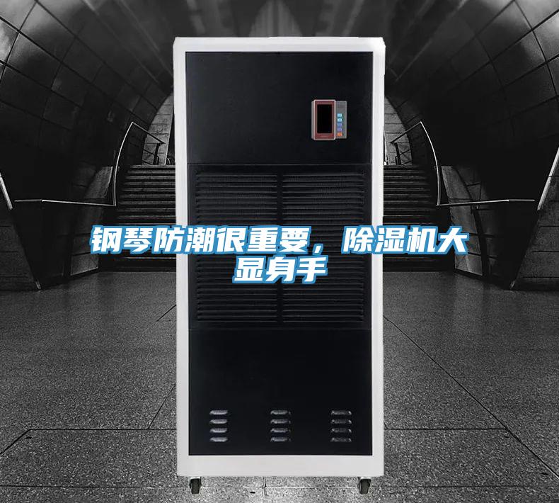 鋼琴防潮很重要，除濕機大顯身手