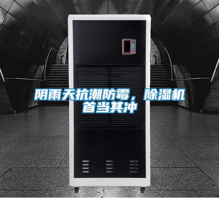 陰雨天抗潮防霉，除濕機首當其沖