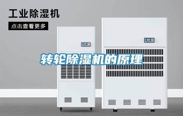 轉輪除濕機的原理