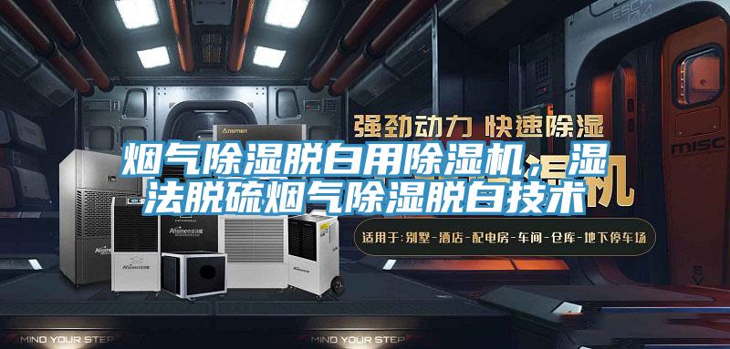 煙氣除濕脫白用除濕機，濕法脫硫煙氣除濕脫白技術(shù)