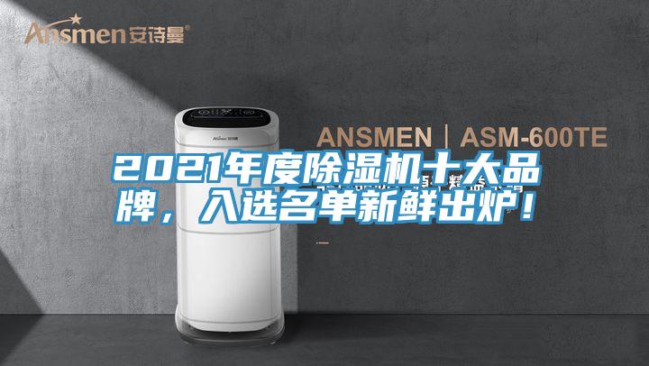 2021年度除濕機十大品牌，入選名單新鮮出爐！