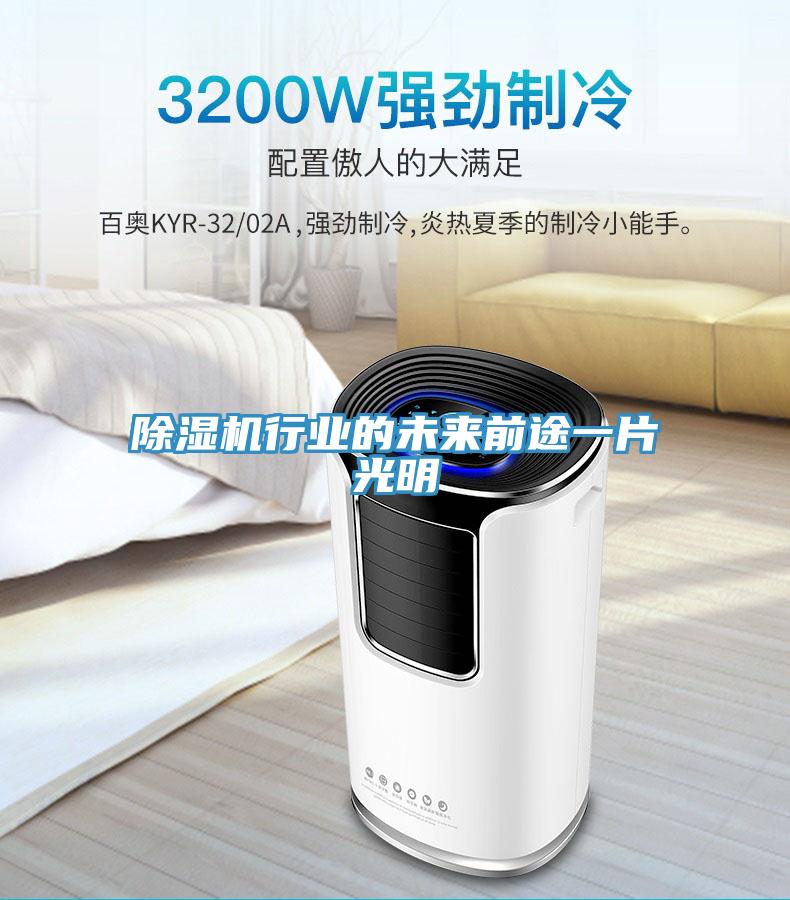 除濕機行業(yè)的未來(lái)前途一片光明