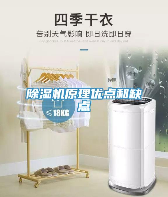 除濕機原理優(yōu)點(diǎn)和缺點(diǎn)