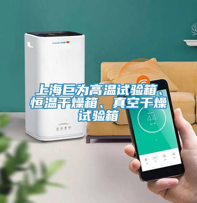 上海巨為高溫試驗箱、恒溫干燥箱、真空干燥試驗箱