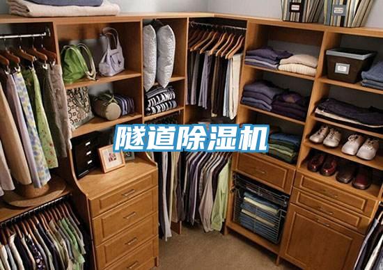 隧道除濕機