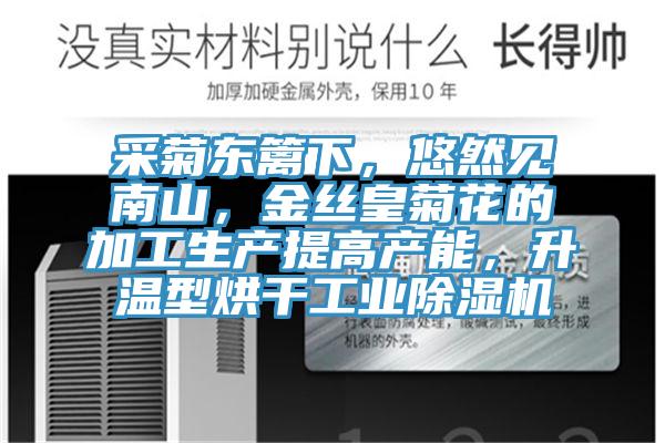 采菊東籬下，悠然見(jiàn)南山，金絲皇菊花的加工生產(chǎn)提高產(chǎn)能，升溫型烘干工業(yè)除濕機