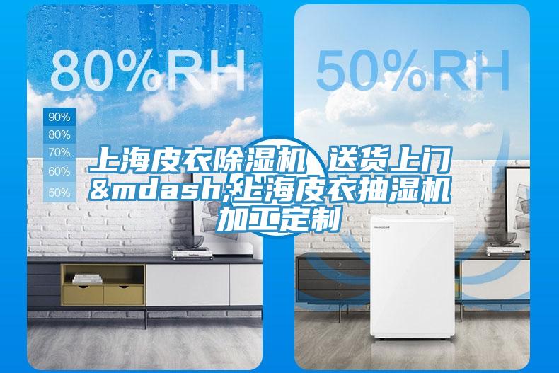 上海皮衣除濕機 送貨上門(mén) &mdash;上海皮衣抽濕機 加工定制