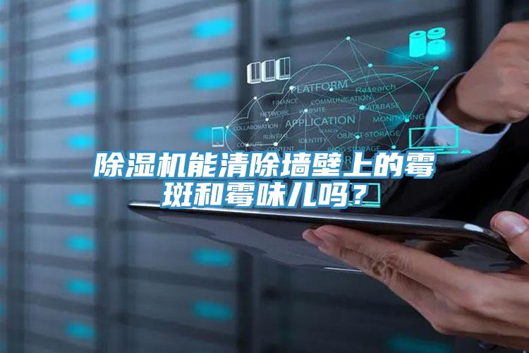 除濕機能清除墻壁上的霉斑和霉味兒?jiǎn)幔?></div>
								<div   id=