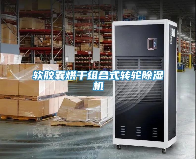 軟膠囊烘干組合式轉輪除濕機
