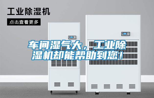 車(chē)間濕氣大，工業(yè)除濕機卻能幫助到您！