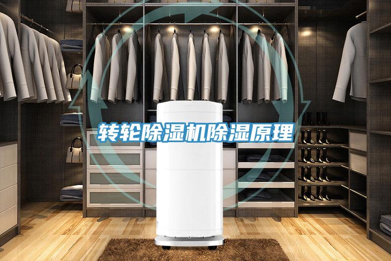 轉輪除濕機除濕原理
