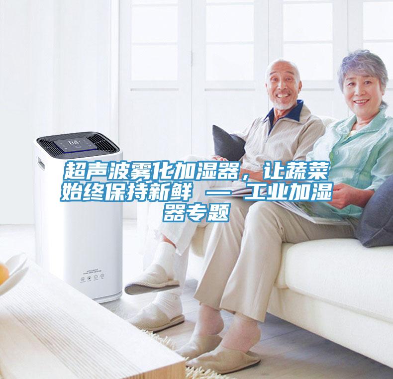 超聲波霧化加濕器，讓蔬菜始終保持新鮮 — 工業(yè)加濕器專(zhuān)題