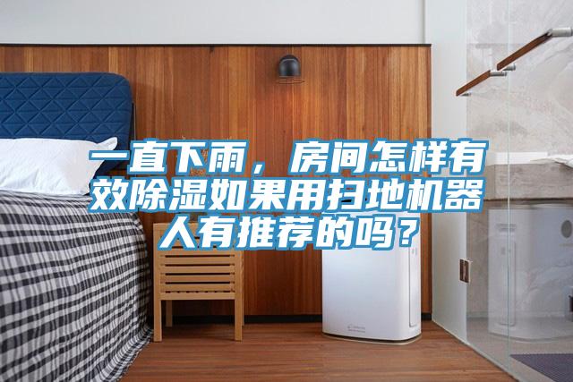 一直下雨，房間怎樣有效除濕如果用掃地機器人有推薦的嗎？