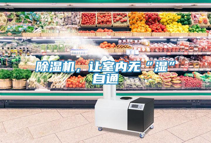 除濕機，讓室內無(wú)“濕”自通