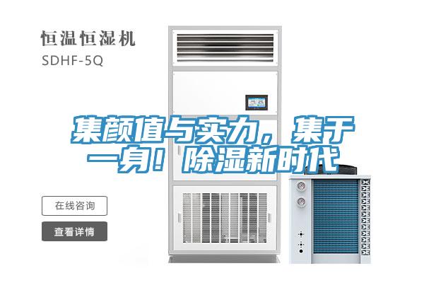 集顏值與實(shí)力，集于一身！除濕新時(shí)代