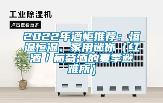 2022年酒柜推薦：恒溫恒濕、家用迷你（紅酒／葡萄酒的夏季避難所）