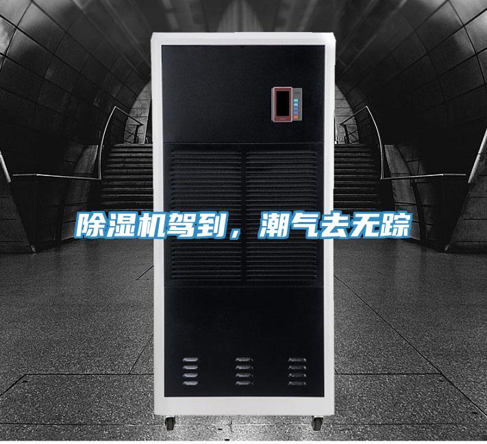 除濕機駕到，潮氣去無(wú)蹤