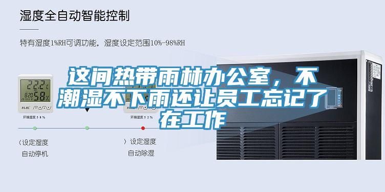 這間熱帶雨林辦公室，不潮濕不下雨還讓員工忘記了在工作